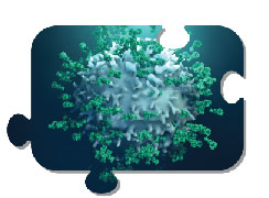 Leinco's biosimilar recombinant antibodies - puzzle