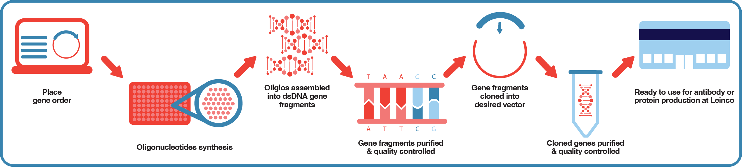 Gene Synthesis Service Process