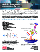 Avidin Reagents